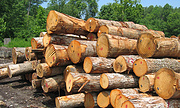 Canadian lumber tariffs needlessly harm US home builders, buyers