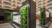 Embassy Suites Repurposes its Atrium as Largest Greenhouse in Windy City