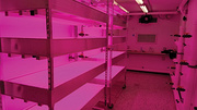 Grocer uses LED lighting for store-grown produce